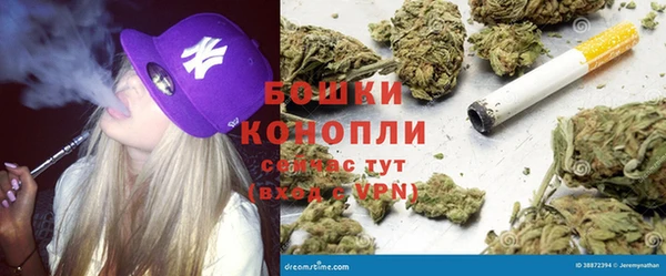 трава Балахна