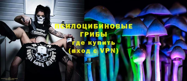 трава Балахна
