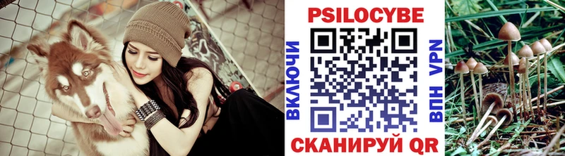 blacksprut ONION  Котово  Галлюциногенные грибы ЛСД 